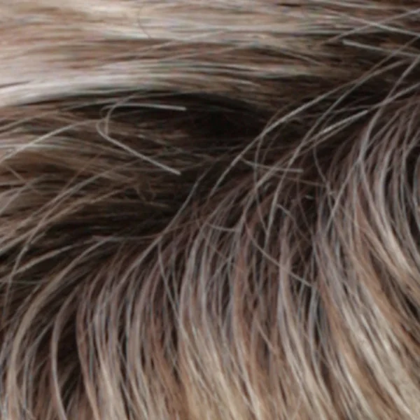 RH1488RT8 | Highlighted Copper Blonde with Golden Brown Roots